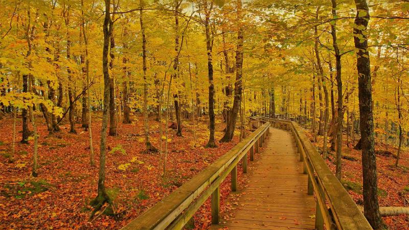 Featured image of post Bing每日图片20210925