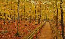 Featured image of post Bing每日图片20210925