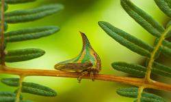 Featured image of post Bing每日图片20210927