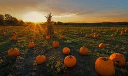 Featured image of post Bing每日图片20211027