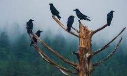 Featured image of post Bing每日图片20211029