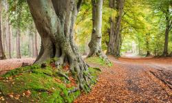 Featured image of post Bing每日图片20211128