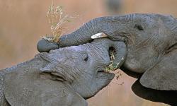 Featured image of post Bing每日图片20211130