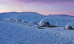 Featured image of post Bing每日图片20211228