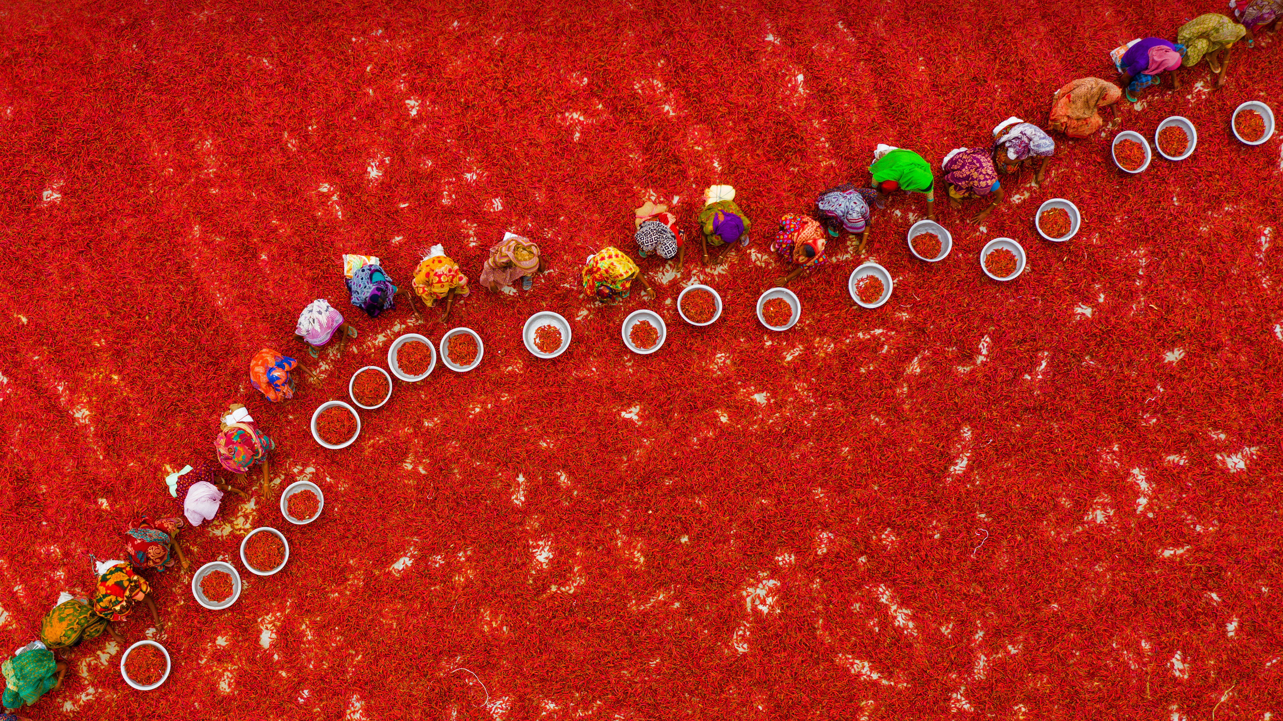 农场上晾晒的红辣椒,孟加拉国博格拉县 (© Amazing Aerial Agency/Offset/Shutterstock)