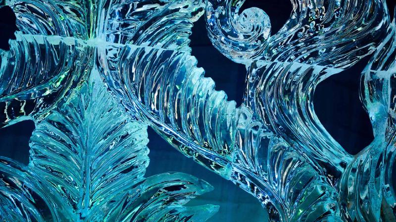 Featured image of post Bing每日图片20220207