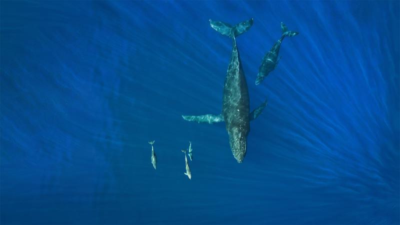 Featured image of post Bing每日图片20220220