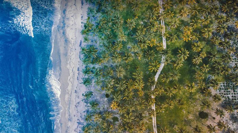 Featured image of post Bing每日图片20220329