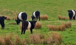 Featured image of post Bing每日图片20220330