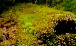 Featured image of post Bing每日图片20220429