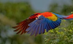 Featured image of post Bing每日图片20220531