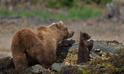 Featured image of post Bing每日图片20220625