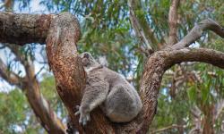 Featured image of post Bing每日图片20220626