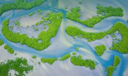 Featured image of post Bing每日图片20220726