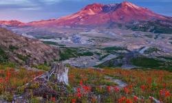 Featured image of post Bing每日图片20220827