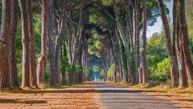 Featured image of post Bing每日图片20220830