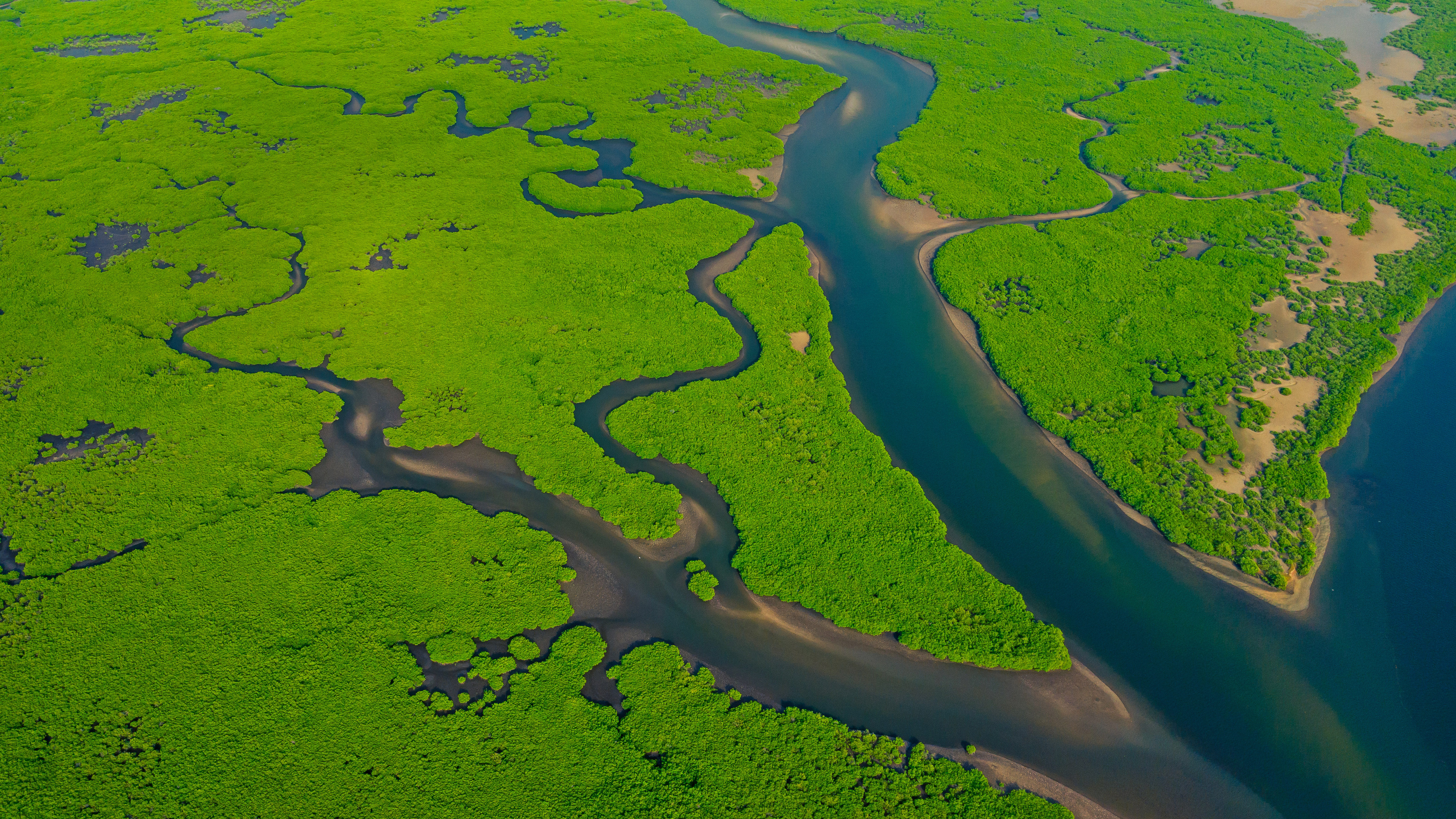 亚马逊河鸟瞰图,巴西 (© Curioso.Photography/Shutterstock)
