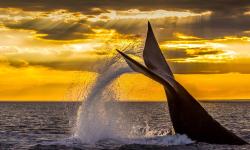 Featured image of post Bing每日图片20220930