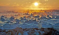 Featured image of post Bing每日图片20221030