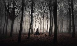 Featured image of post Bing每日图片20221031