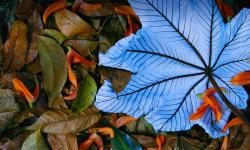 Featured image of post Bing每日图片20221127