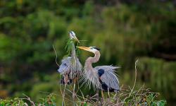 Featured image of post Bing每日图片20221129