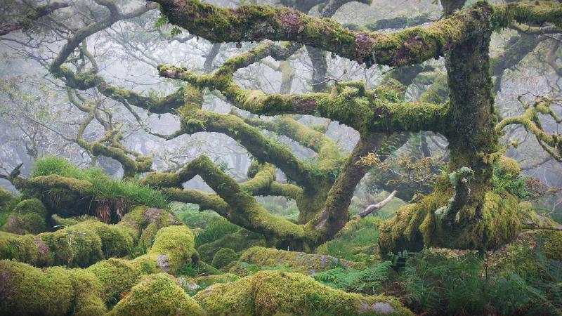 Featured image of post Bing每日图片20221208