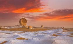 Featured image of post Bing每日图片20221230