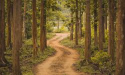 Featured image of post Bing每日图片20230130