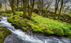 Featured image of post Bing每日图片20230223