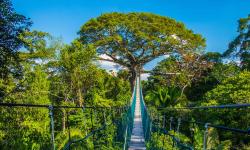 Featured image of post Bing每日图片20230226