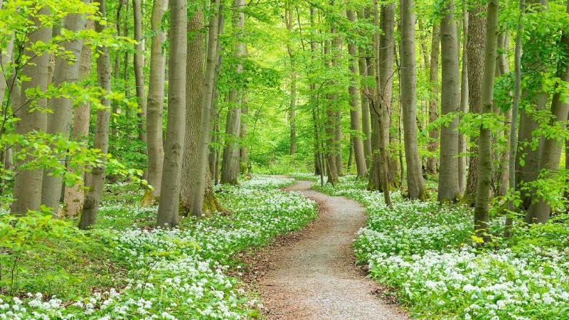 Featured image of post Bing每日图片20230324