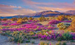 Featured image of post Bing每日图片20230326