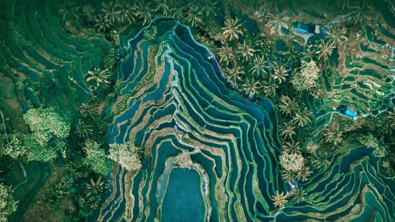 Featured image of post Bing每日图片20230528