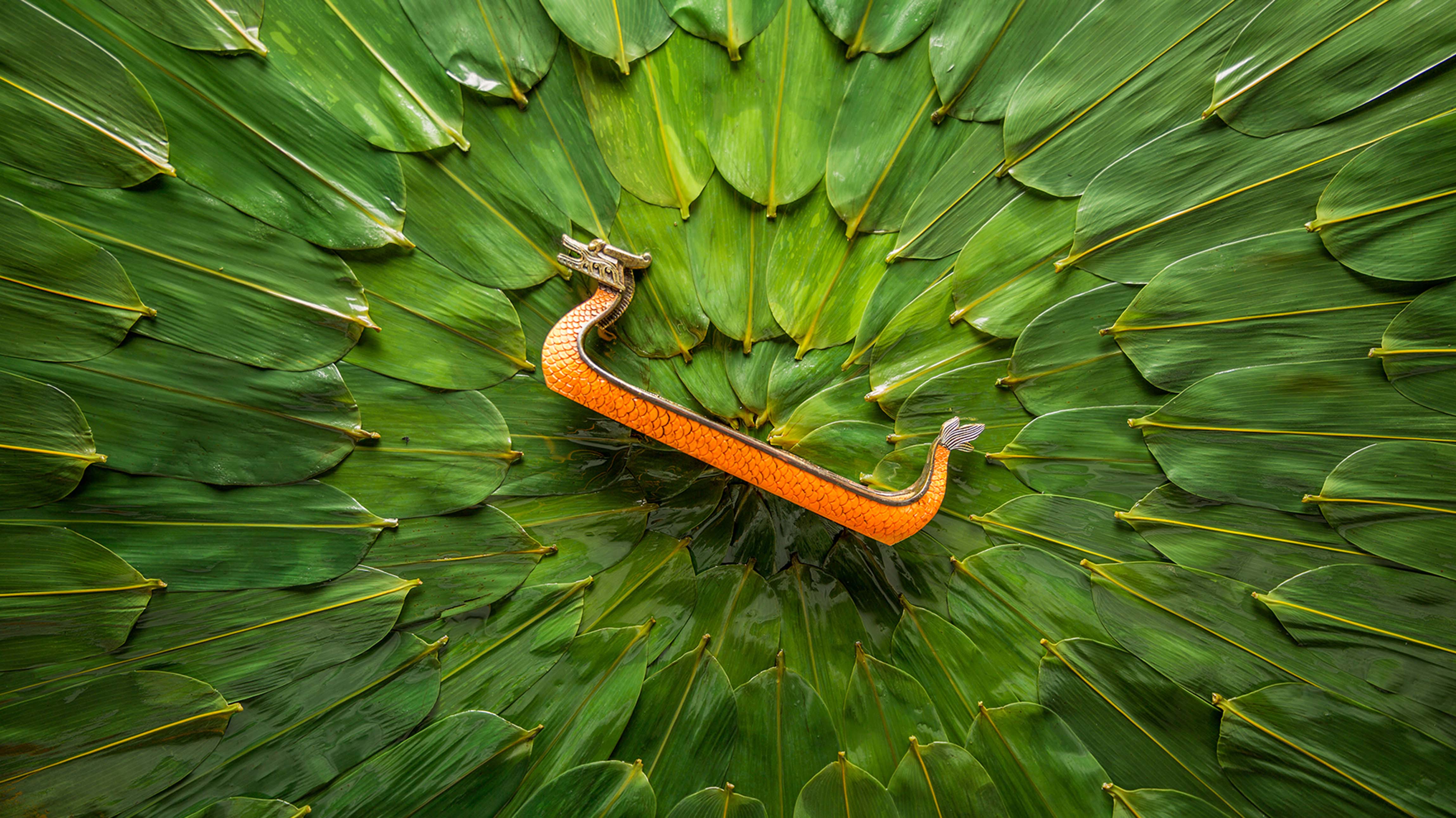 中国传统节日端午节 (© timekeep/Shutterstock)
