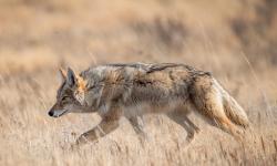 Featured image of post Bing每日图片20230703