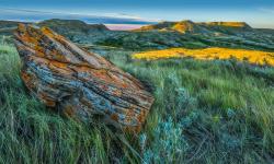 Featured image of post Bing每日图片20230704