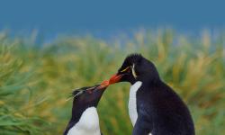 Featured image of post Bing每日图片20230706