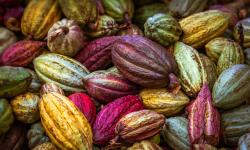 Featured image of post Bing每日图片20230707